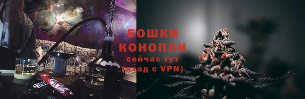 гашик Богданович