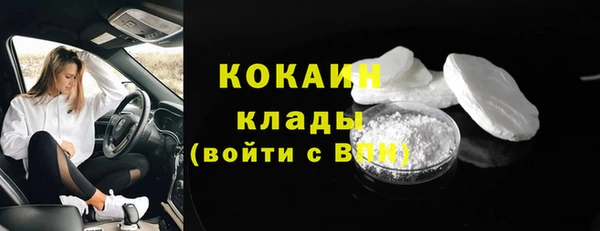 гашик Богданович