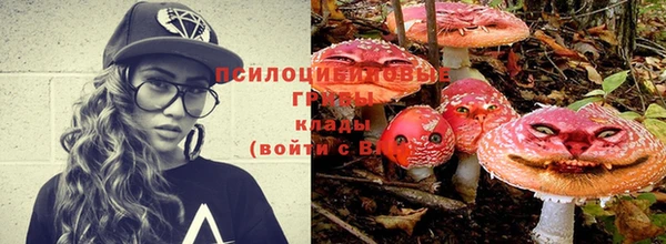 гашик Богданович