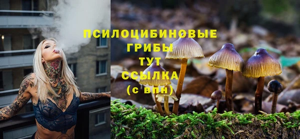 марки lsd Богородицк