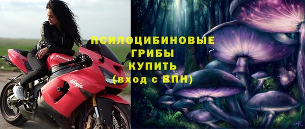 марки lsd Богородицк
