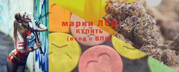 гашик Богданович