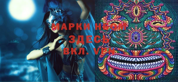 гашик Богданович