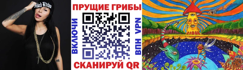 закладки  Минеральные Воды  Галлюциногенные грибы GOLDEN TEACHER 
